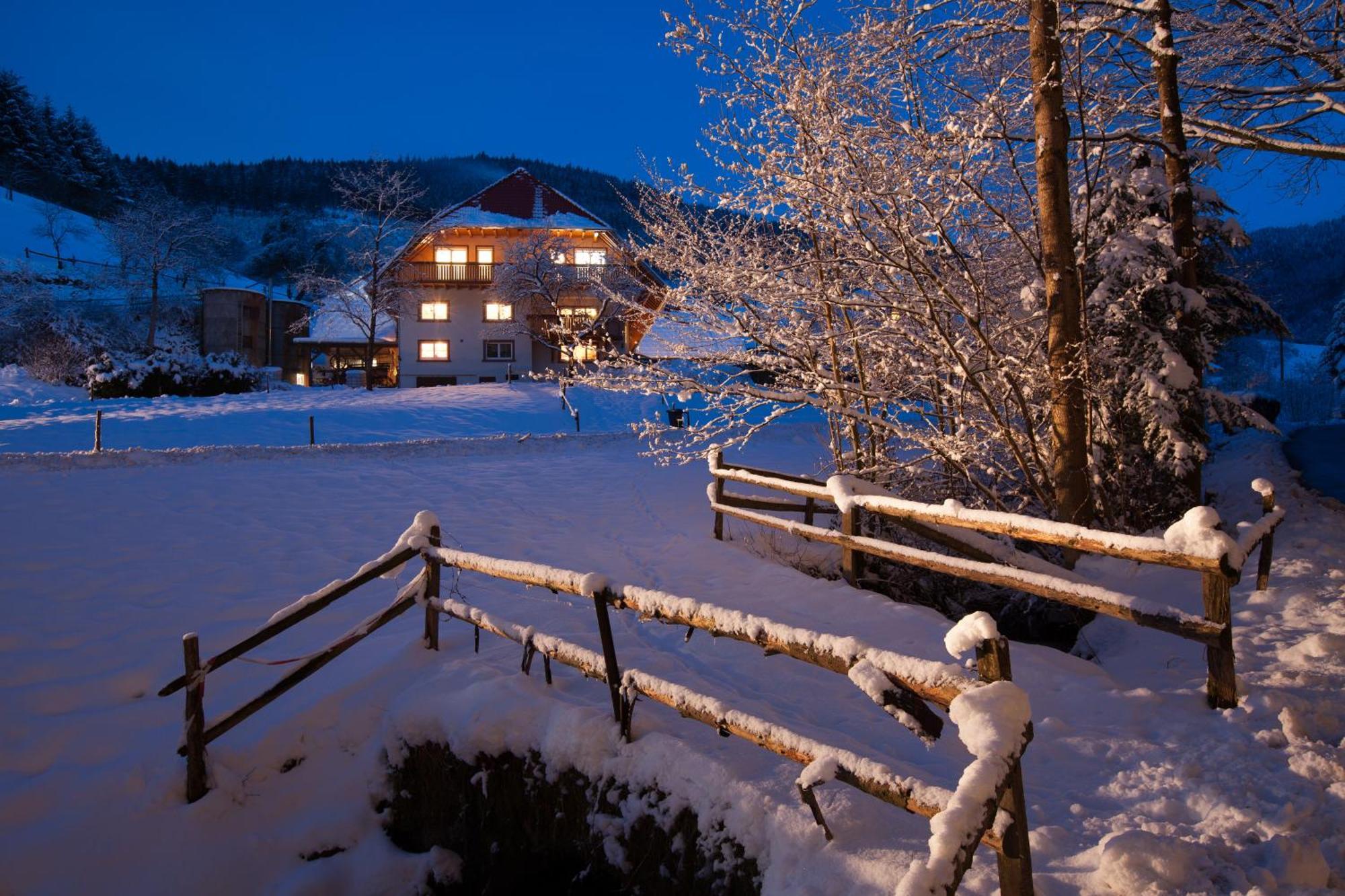 Schaetzlehof Hotel Winden im Elztal Exterior photo