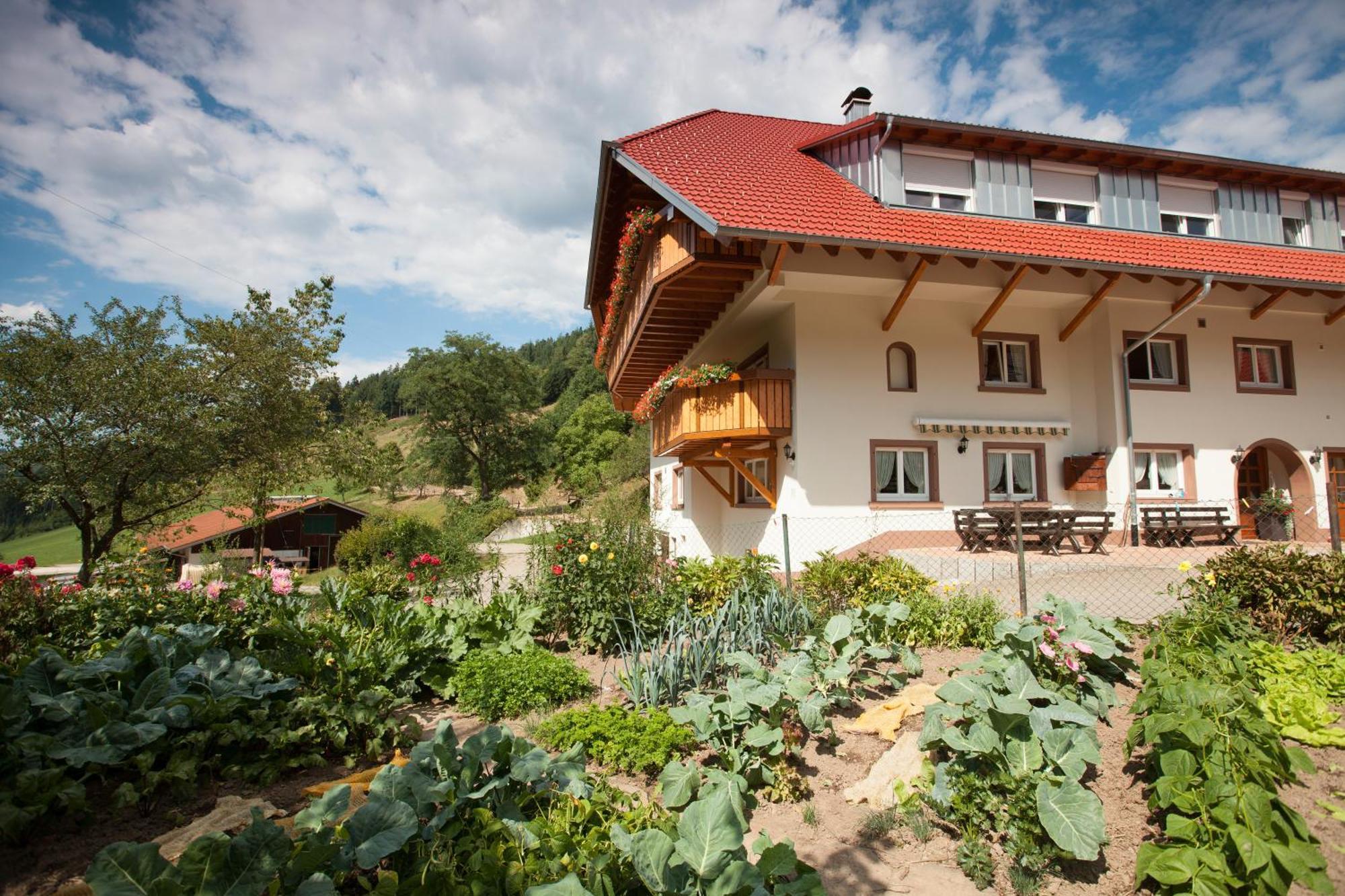 Schaetzlehof Hotel Winden im Elztal Exterior photo