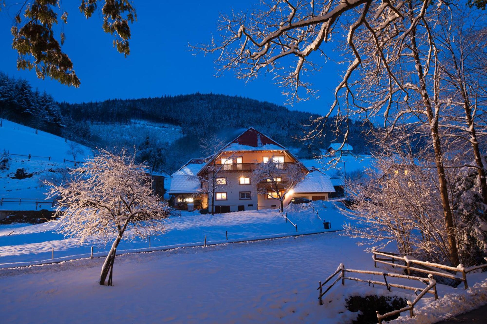 Schaetzlehof Hotel Winden im Elztal Exterior photo
