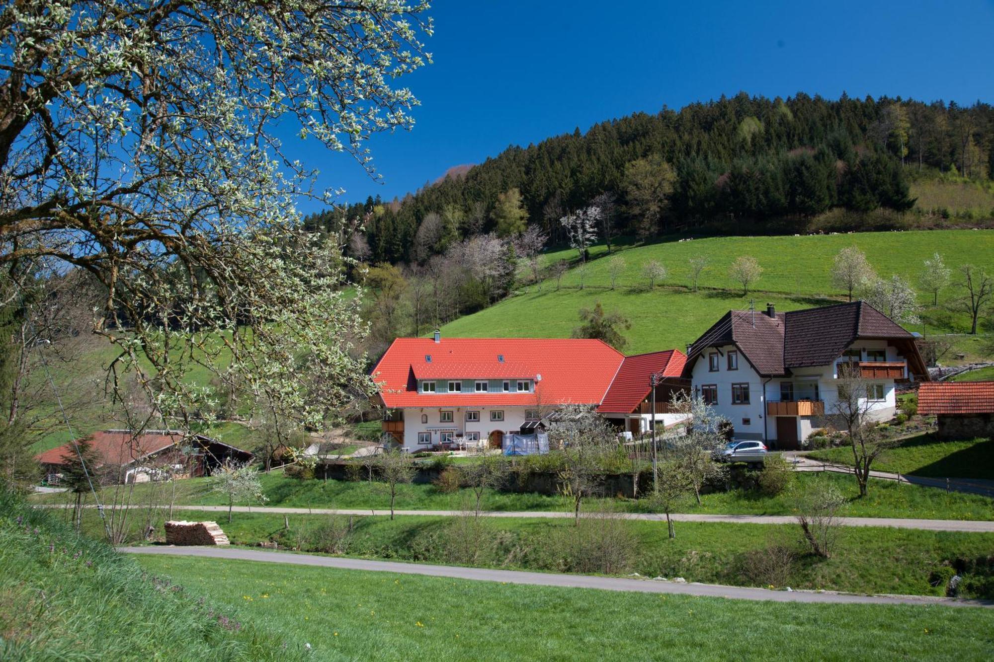 Schaetzlehof Hotel Winden im Elztal Exterior photo